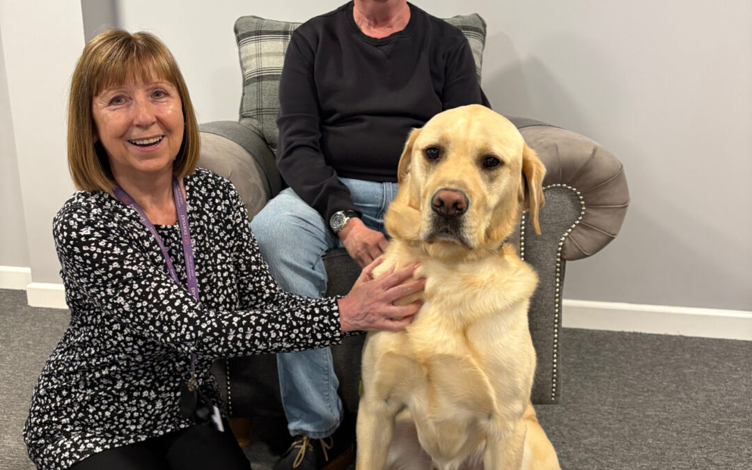 You Said We did… Independent Living Scheme